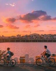 国足去看世界杯了吗-国足踏上世界杯之旅，梦想与现实的交织