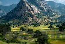 开云app正规吗-开云app，一个值得关注与信赖的选择